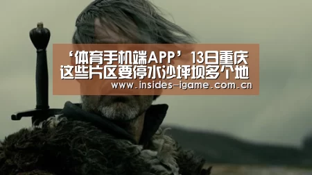 体育手机端APP