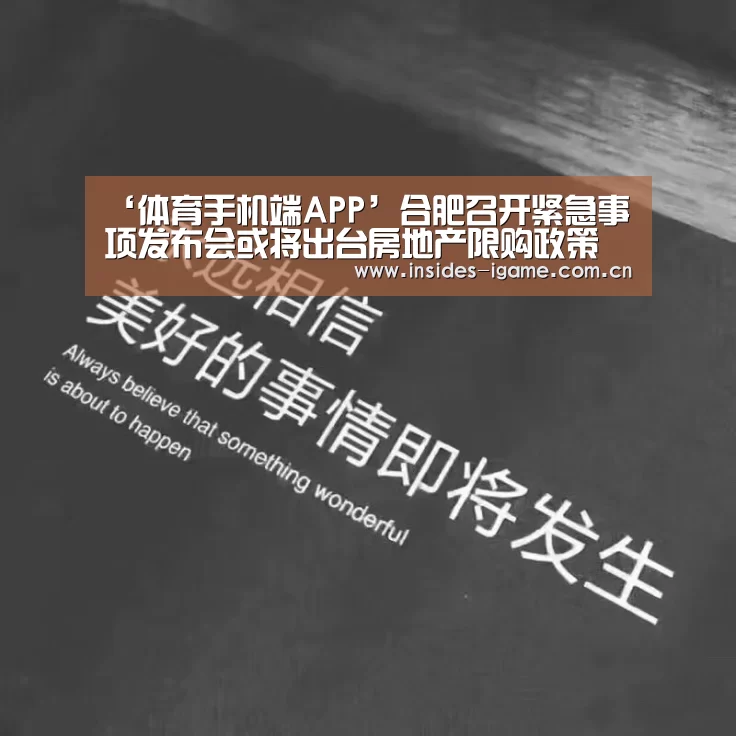 ‘体育手机端APP’合肥召开紧急事项发布会或将出台房地产限购政策(图1)