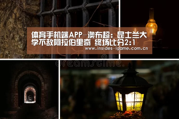 体育手机端APP
