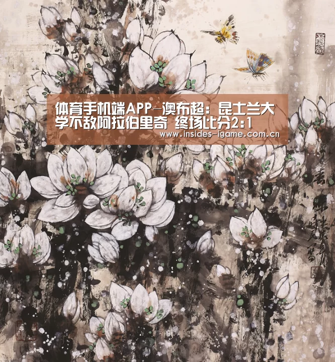 体育手机端APP