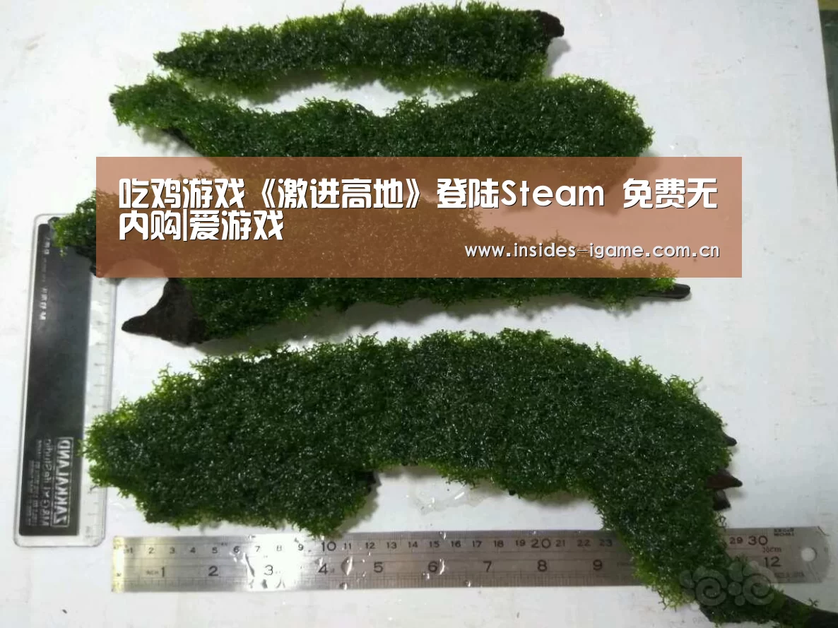 爱游戏