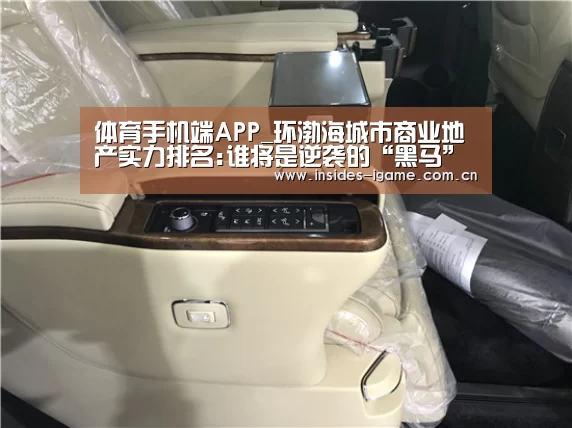 体育手机端APP_环渤海城市商业地产实力排名:谁将是逆袭的“黑马”?(图2) 体育手机端APP_环渤海城市商业地产实力排名:谁将是逆袭的“黑马”?(图2)